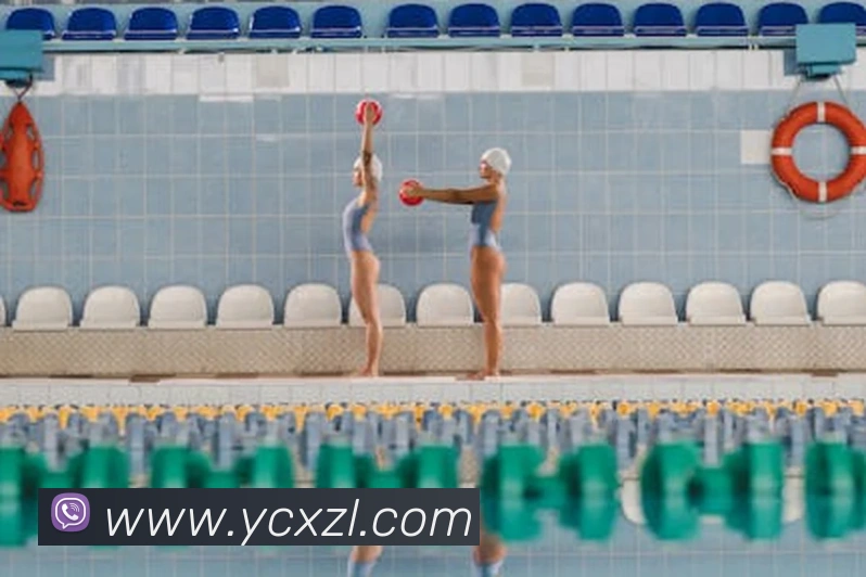 App Interface Preview